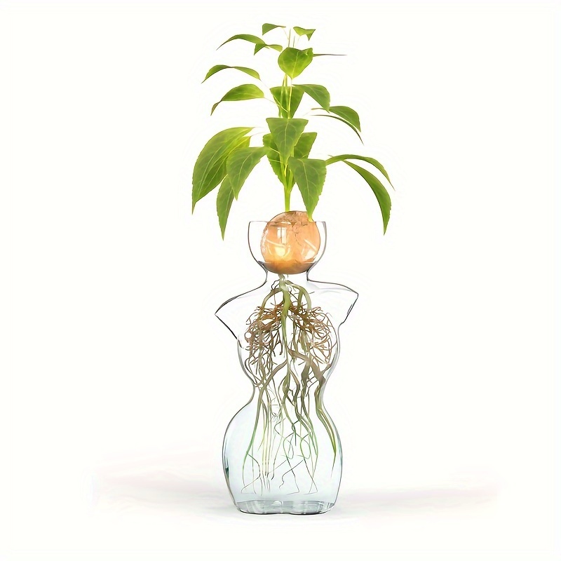 

Creative Female Silhouette Glass Vase For Avocado Seed Starting - Hydroponic Bulb Propagation & Flower Arrangement, Perfect For Home Decor