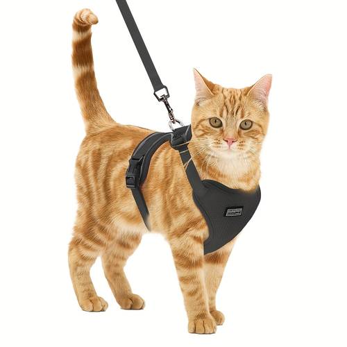 katzen-gehgeschirr und leine, fluchtsicherer weicher verstellbarer katzenwesten brustgurt, einfache kontrolle atmungsaktiver reflektierender gürteljacke
