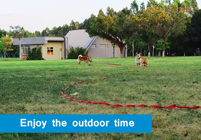puppy     training agility leash 5 9 50ft long leash   training   or backyard Product details 1