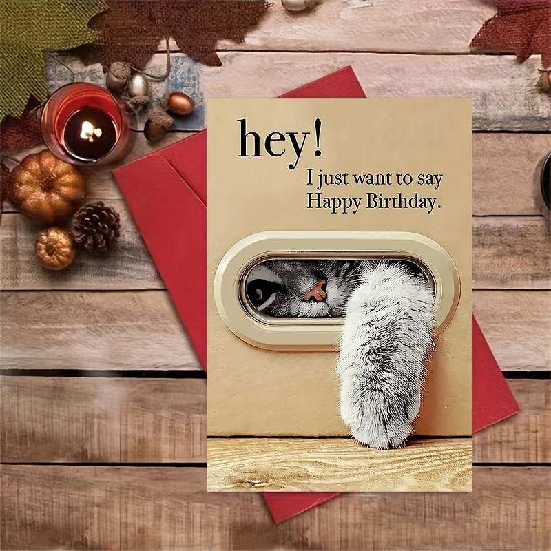 

Cat Birthday Card With Envelope - "hey! " Design, Ideal For Family & Friends, Unique Thank You & Greeting Card Option For Small Business, Funny Birthday Cards