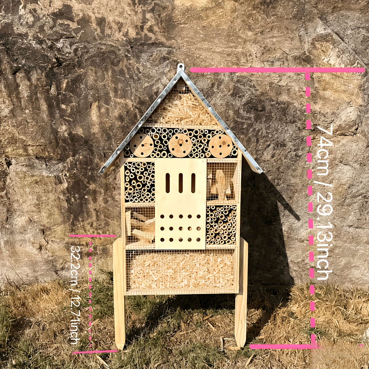 bananenpflanze zimmerpflanze kaufen Bananenpflanze kaufen  tropische Musa fr dein Zuhause  PlantmyHome