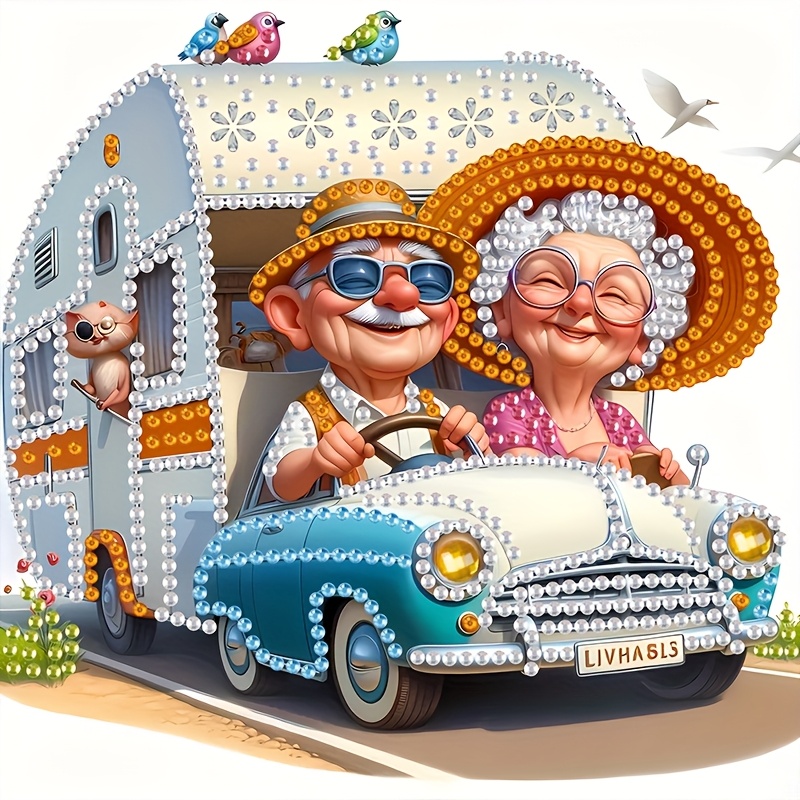 TEMU Rv Elderly 5d Diamond Painting Kit Special Shaped Crystal Drill Partial Diamond Canvas Irregular Diamonds Unframed Wall Decoration