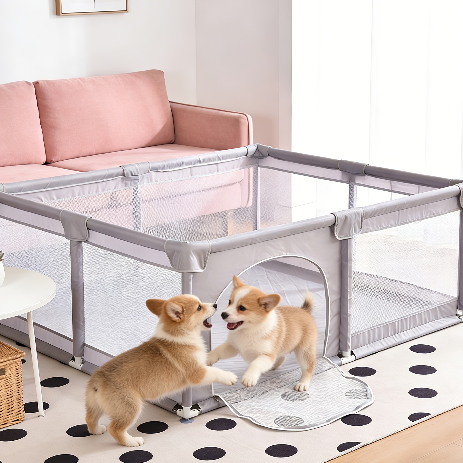 E49a814b 32e4 4ed9 834f 3474f746adab