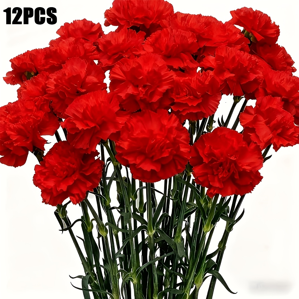Image of 12pcs Carnations Artificial Flowers 14in Velvet Fake Carnations Flowers For Wedding Home Table Centerpieces Floral Arrangements