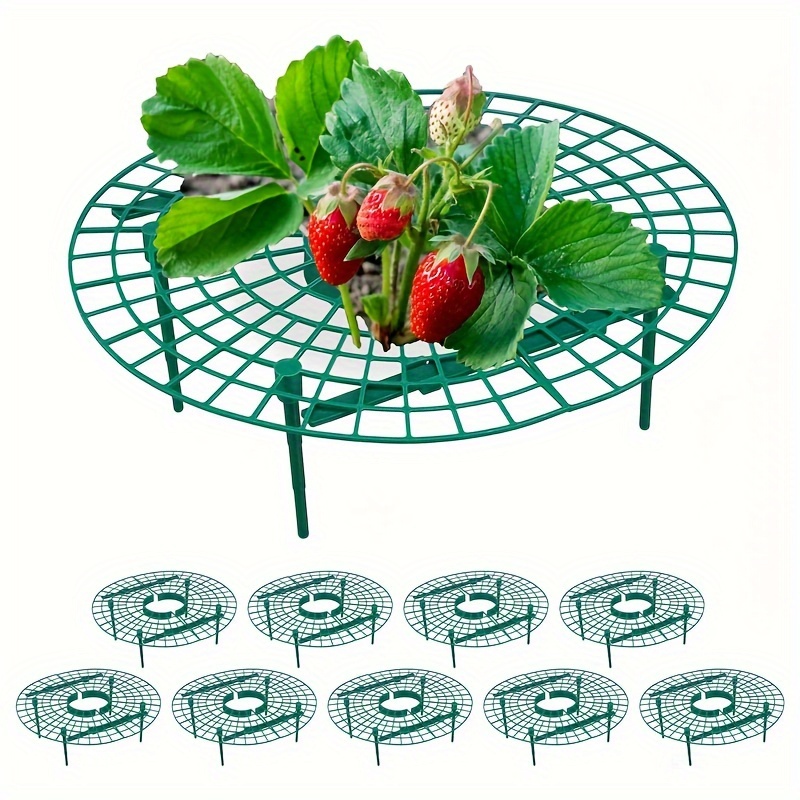 

10-piece Durable Blue Plastic Fruit Support Set - Corrosion-resistant Garden Guards For Watermelon, Pumpkin, Strawberries & More