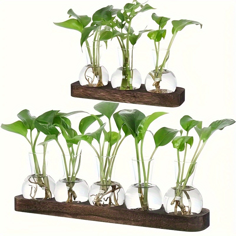 

3/5pcs/1 Pack, Tabletop Plant Propagation Station Glass Glass Container With Wooden Tray With 3pcs/5pcs Glass Vase Light Bulb Vase Propagating Hydroponics Home Office Decorative Plant Lover Gift Idea