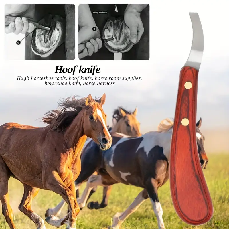 1pc Horse Hoof Knife Wooden Handle Stainless Steel Blade Double Edge ...