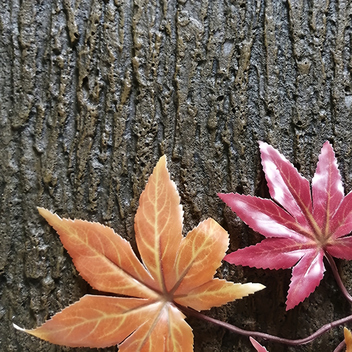 Realistic Bark Background for Animal Habitats