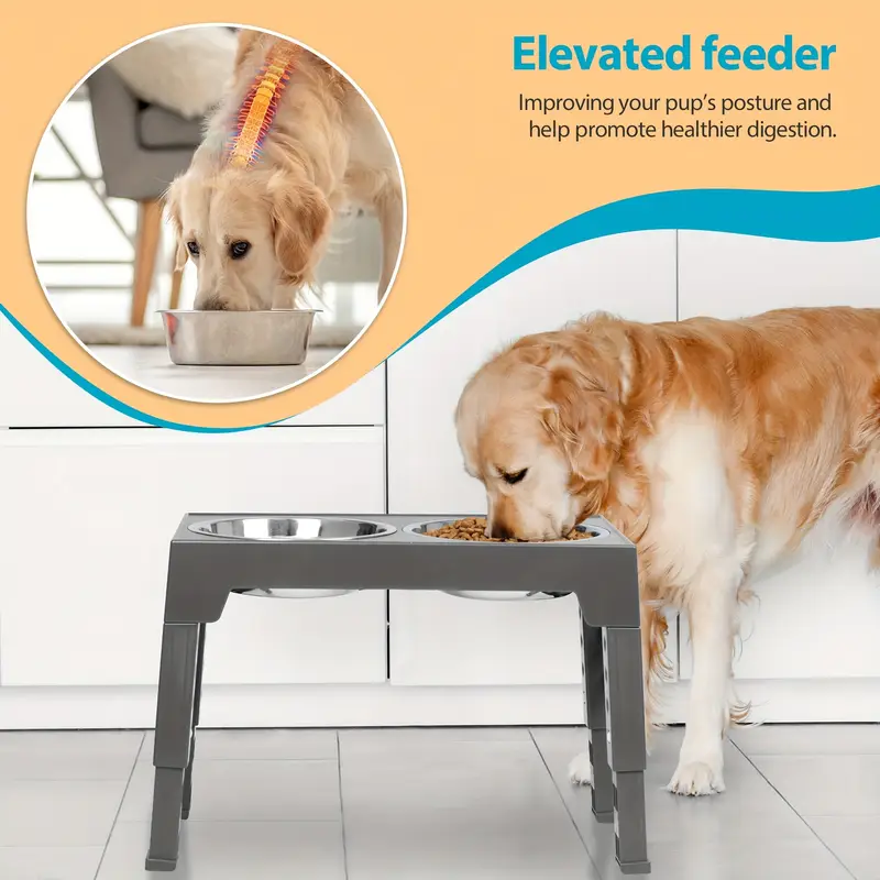 elevated dog bowl stand with 2 stainless steel bowls 5 adjustable 3 15 to 12 2 non slip base storage shelf chew proof dog sizes durable construction pet feeding station sleek stainless steel sturdy frame Product details 3