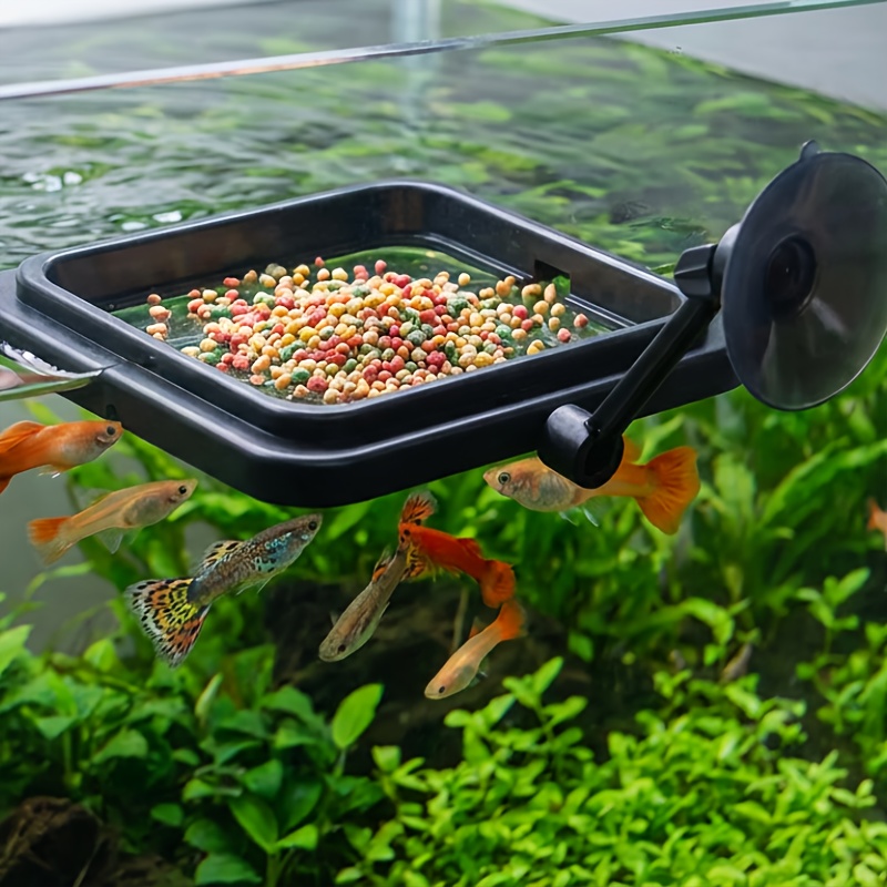 fish tank accessories all animal food AWXZOM Decorations (fish tank not included), aquarium coral decorations and Aquarium Artificial Plastic Plants Set, betta fish tank coral ornaments aquarium coral Aquarium Décor : Pet Supplies Feed your aquarium fish using a feeder cone 2 Pack Turtle Feeding Ring
