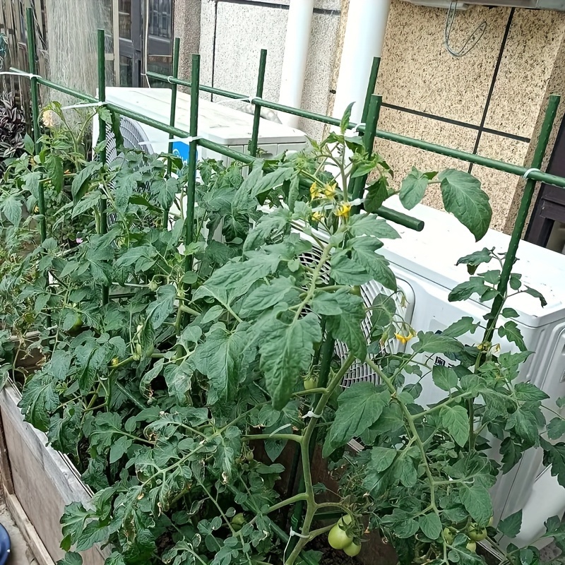 

30 Stakes , 1 , , Pot Stand, Steel , Pot Stand, , ,