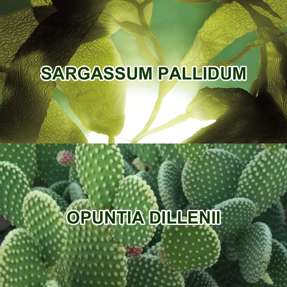 4 kutije maski za oči s esencijom zelenih algi i flastera za oči, miješanih s Sargassum i kolagenom, održavaju vlažnost očiju, nježne i hranjive, udobne i vlažne kože, dostupne kod kuće ili na poslovnim putovanjima, pokloni za Uskrs i Dan zahvalnosti
