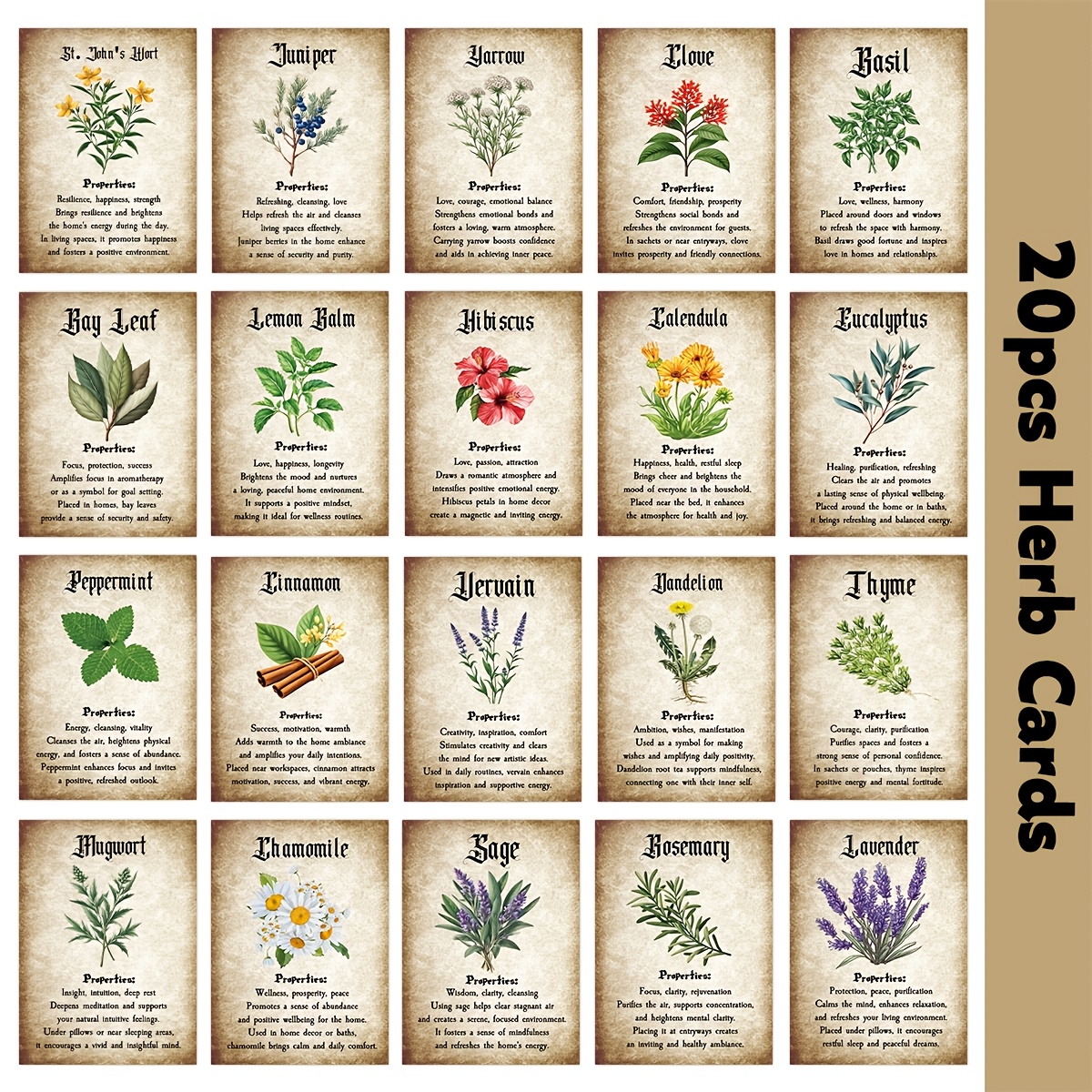 TEMU 20pcs Retro Cards With Botanical Art & Herbal - Lavender, , Thyme, Rosemary | Apothecary Journal, Natural Guide, Supplies, Mystical Halloween