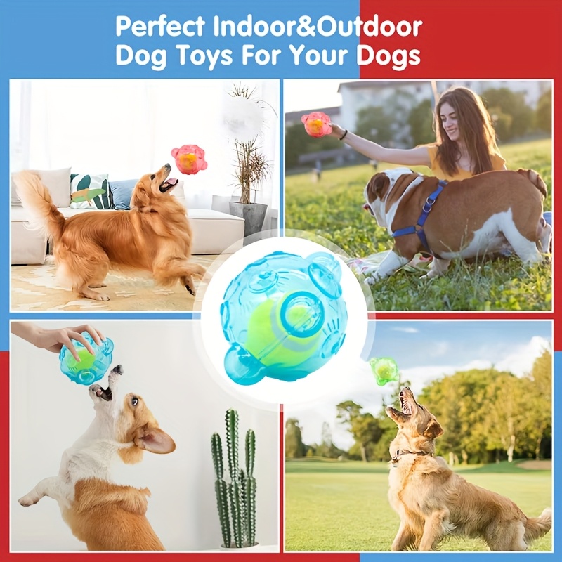 random color bear head pet squeaky toy built in tennis ball - Temu United  Arab Emirates
