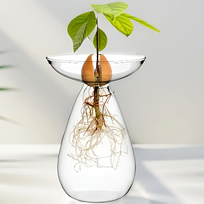 TEMU Fekyaeta 1pc Glass Avocado Seed Starter Vase - Shaped Propagation Jar For Bulb Growing & Hydroponic Plants, Clear Small Bud Vase For Flowers,