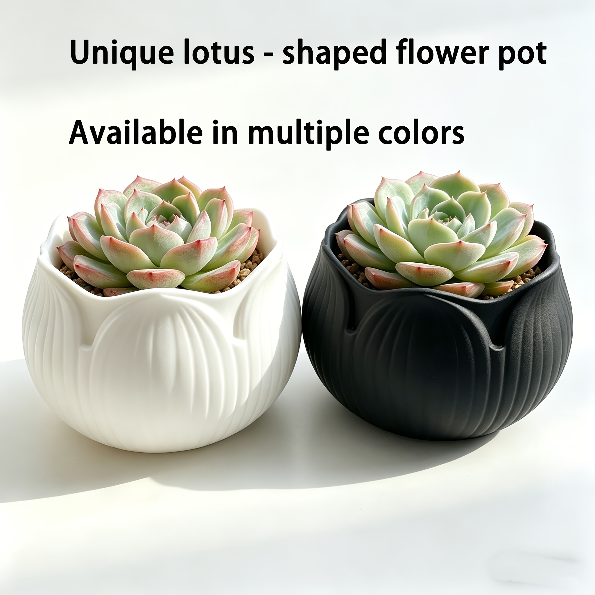 schale lotus - Temu Deutschland