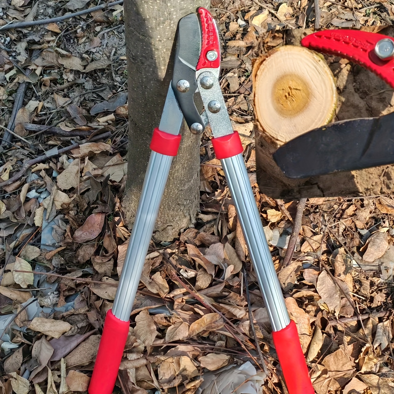 Een meter telescopische krachtige schaar met hoge kwaliteit koolstalen messen, ambidextrous, constructie van mangaanstaal, perfect voor het knippen van dikke takken tot 5 cm dik, traditionele stijl, hoge takzaag voor moeiteloos knippen