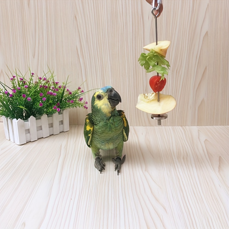 

Brochette à Fruits en Acier Inoxydable pour Oiseaux & Petits Animaux - Jouet d'Alimentation pour Perroquet, Lapin, Souris, Écureuil et Accessoire de Cage