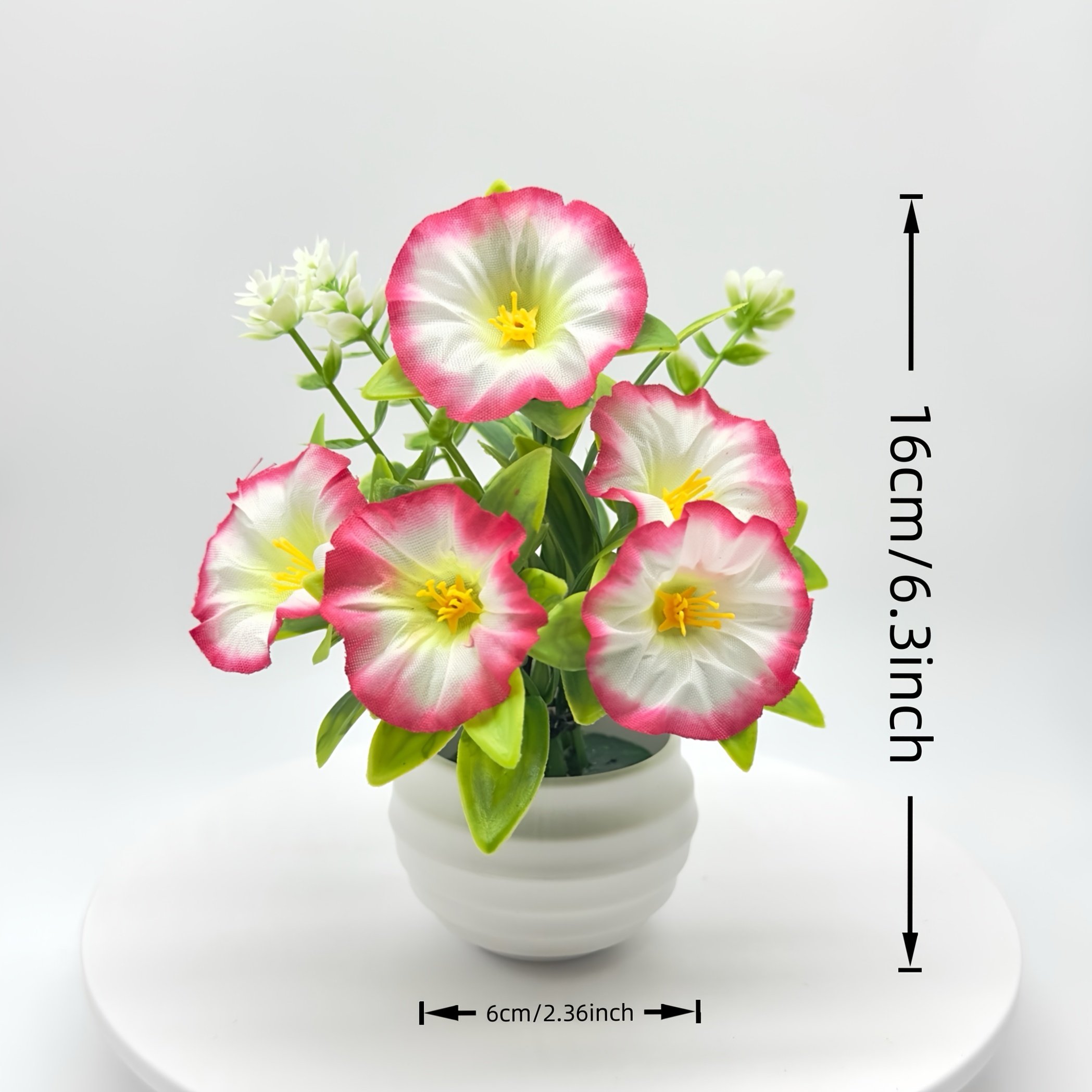 1/6 Set Morning Glory bloemen met pot