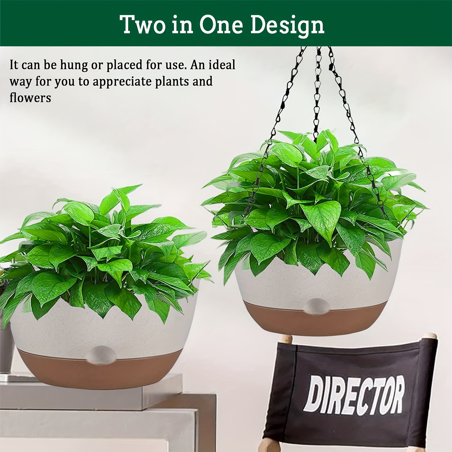 janet craig dracaena Easy to Grow Bulbs Dracaena - Janet Craig Compacta Houseplant main image 1