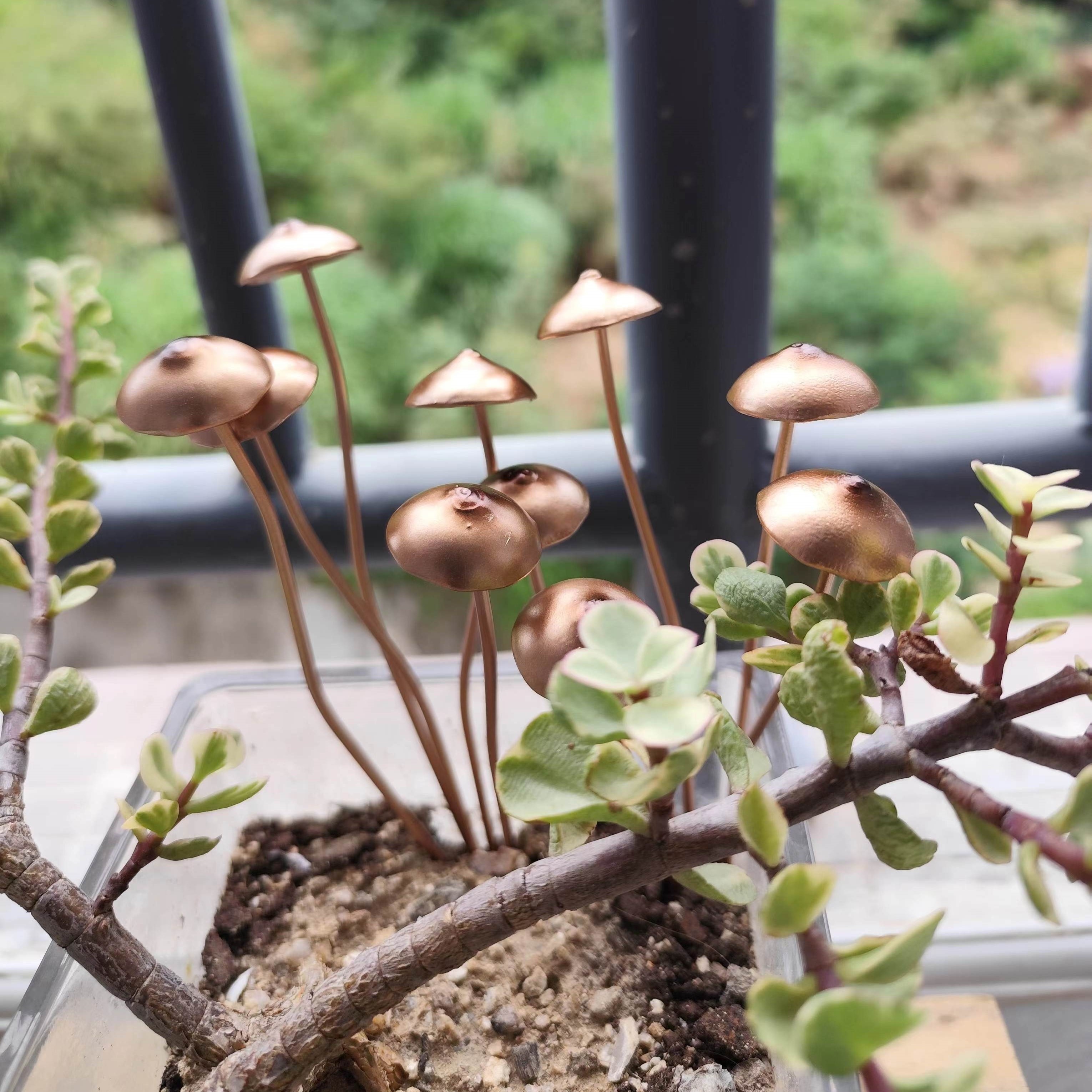 Verzinkte Pilze Im 2er Set – Gartenstecker Aus Edelzink, Wetterbeständig, 8–14 Cm Groß, Perfekt Für Deko Drinnen & Draußen