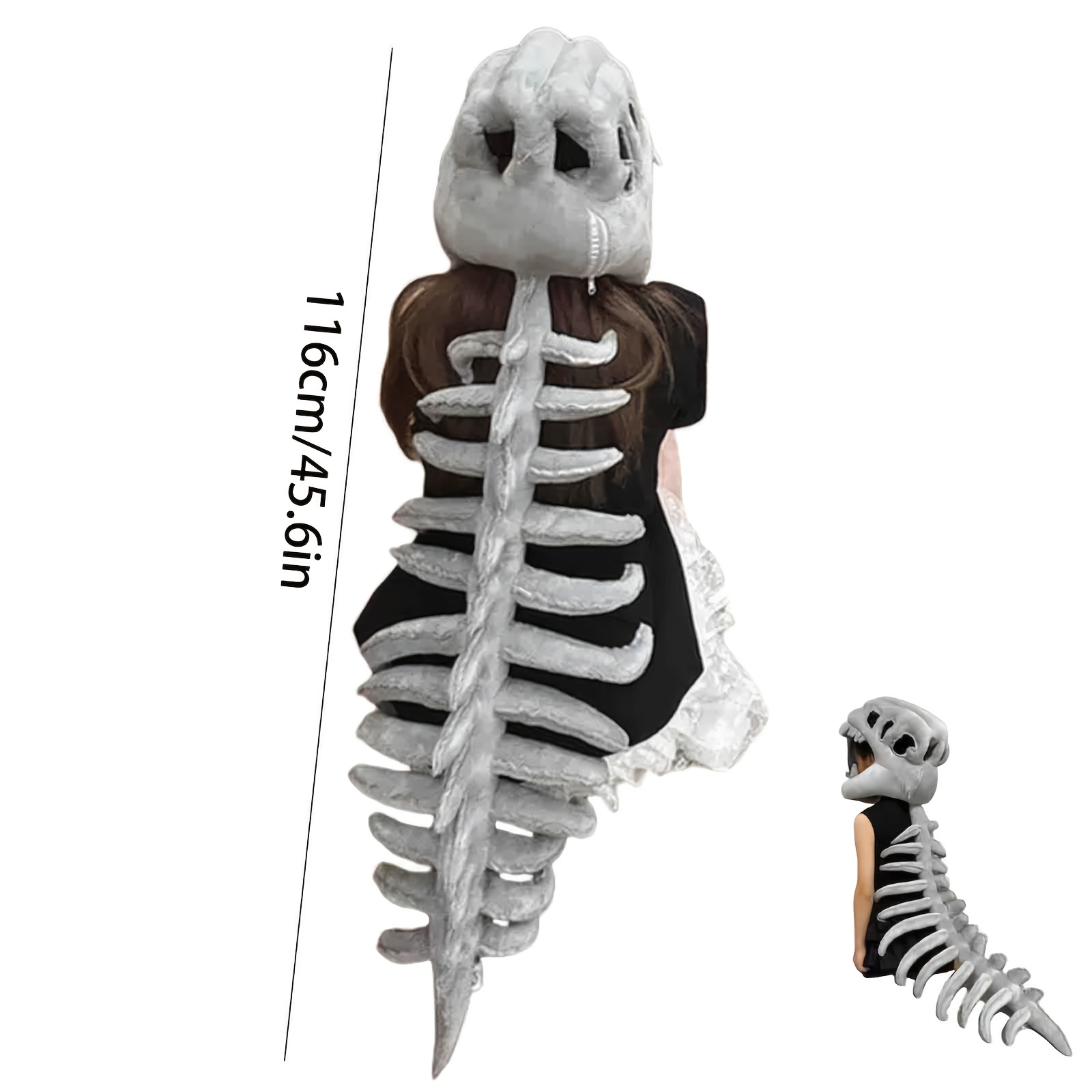 Anatomie en Fysiologie cel, huid, erfelijkheid, hart,bouw skelet, schedel, ruggengraat