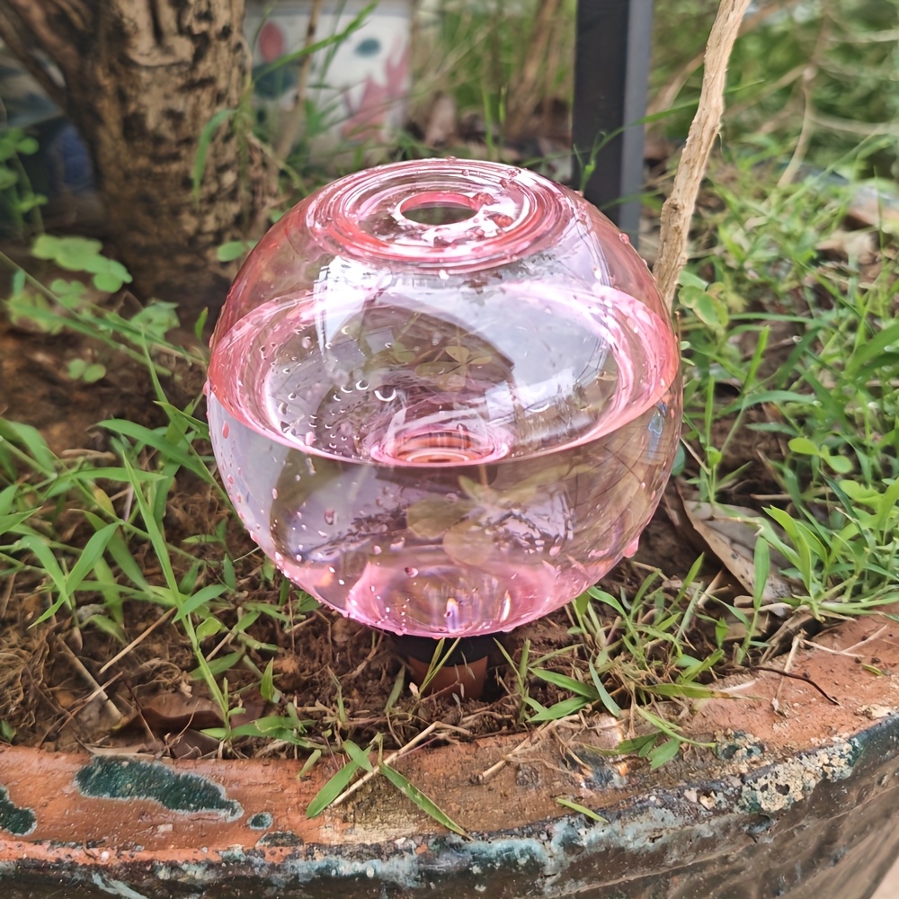 mini terrarium plants for sale Tiny Air Plant Terrarium Kit – The Artizan Way main image 1
