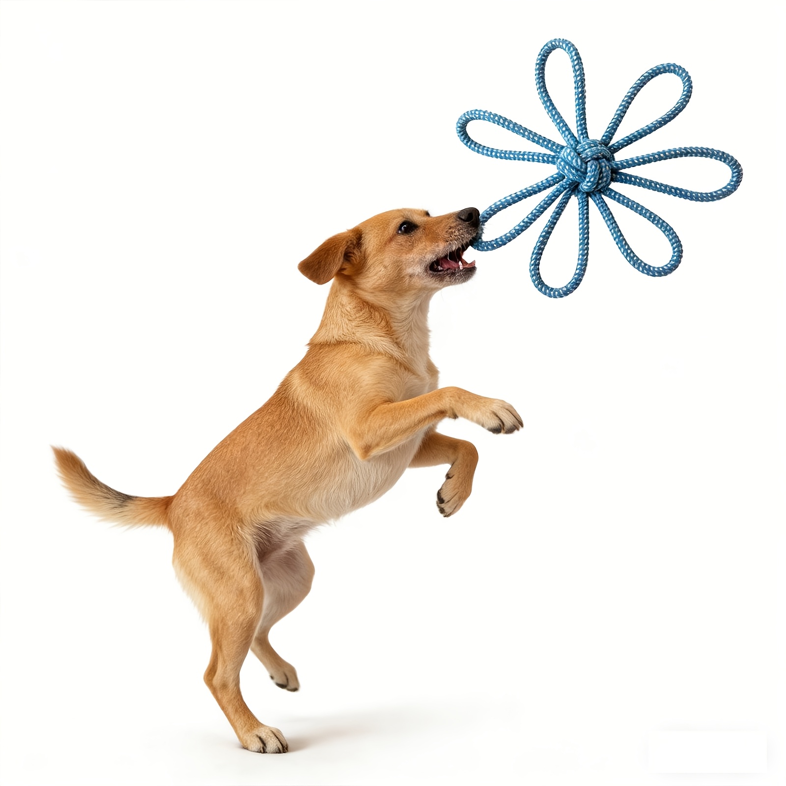 Flower-Shaped Dog Bite Toy for Interactive Training