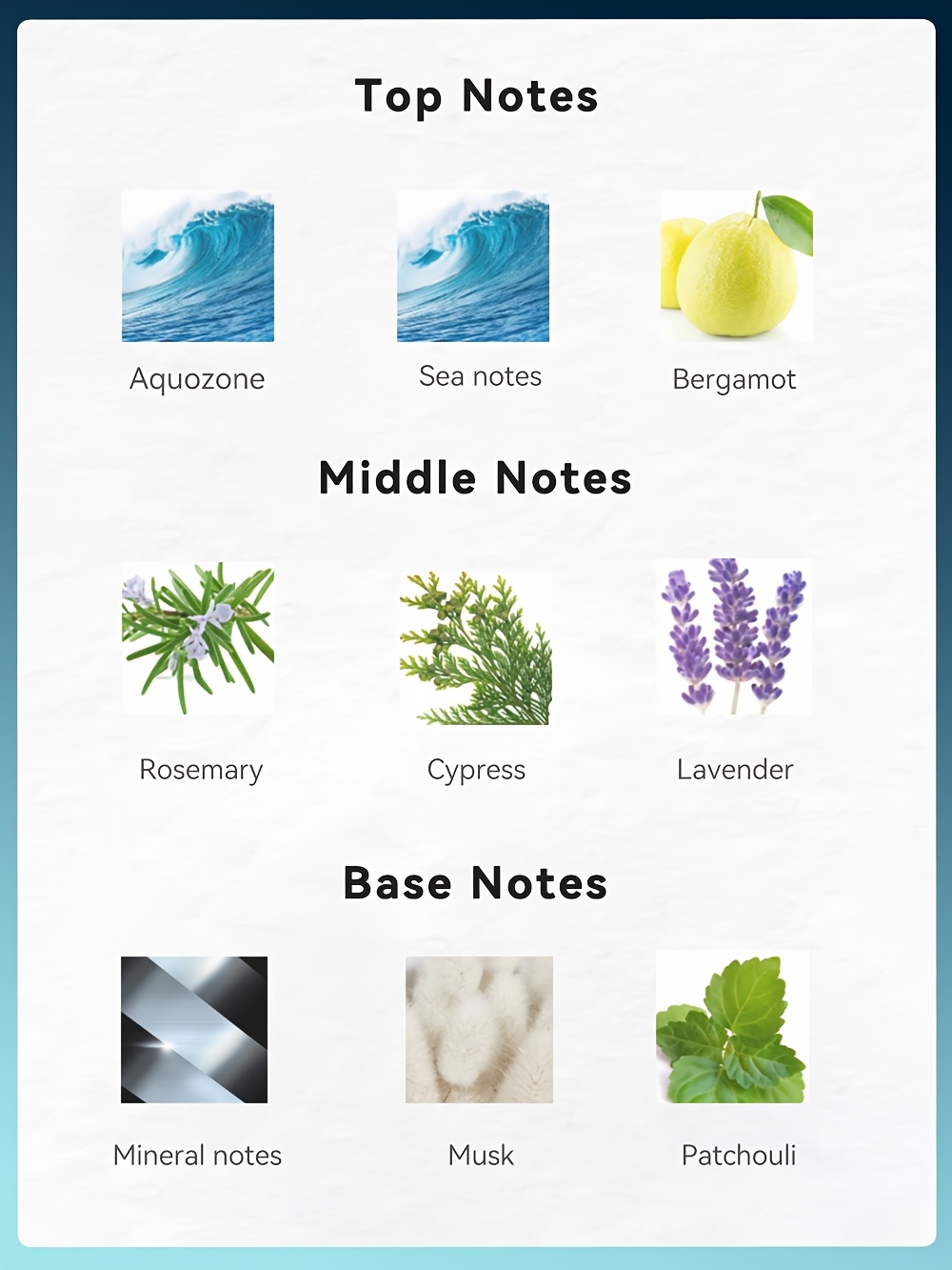 Essential Oils Top Middle Base Chart 4fl Oz Mens Eau De Parfum