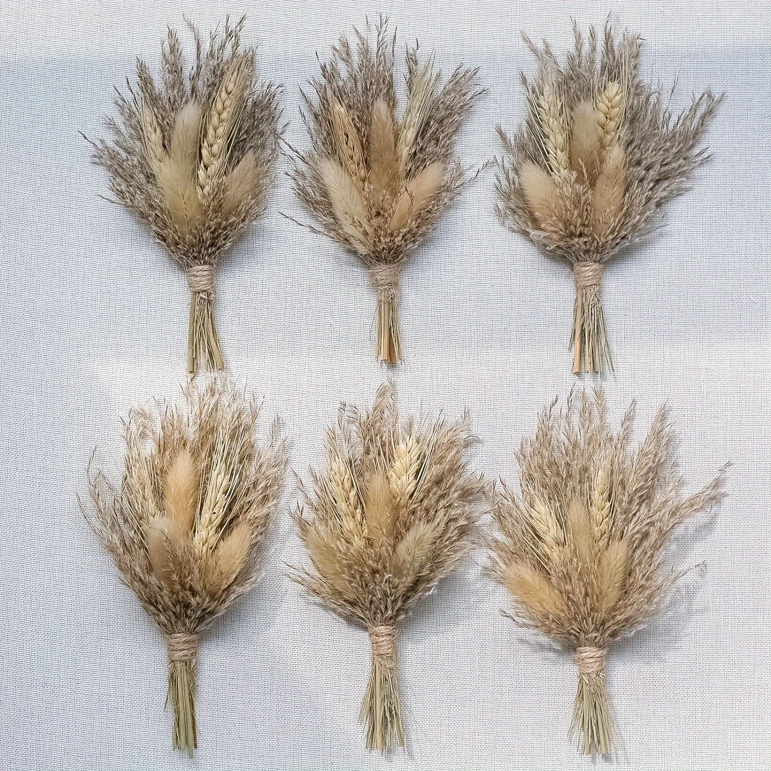 TEMU Mini séchées, lot de 6 pour mariage floral bohème, centres de table, petite herbe de la séchée, minuscules fleurs séchées pour loisirs créatifs,