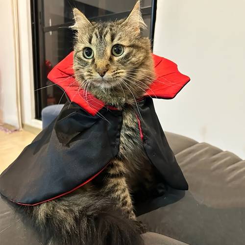 1pc halloween cat and dog costumes cat costume