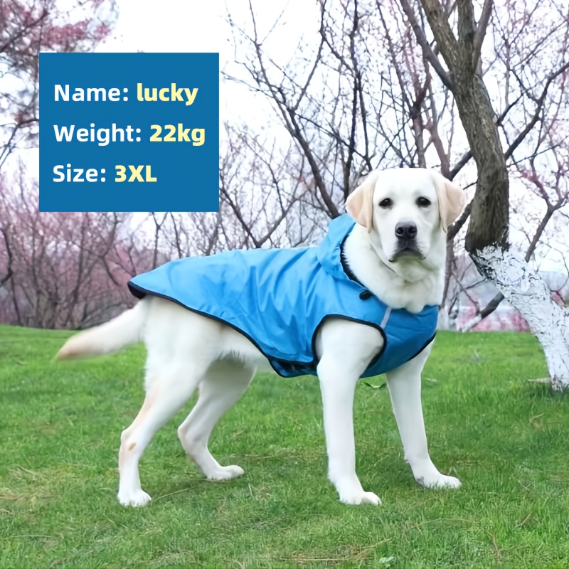 

Your And Dry With This Reflective Hooded Waterproof Raincoat!