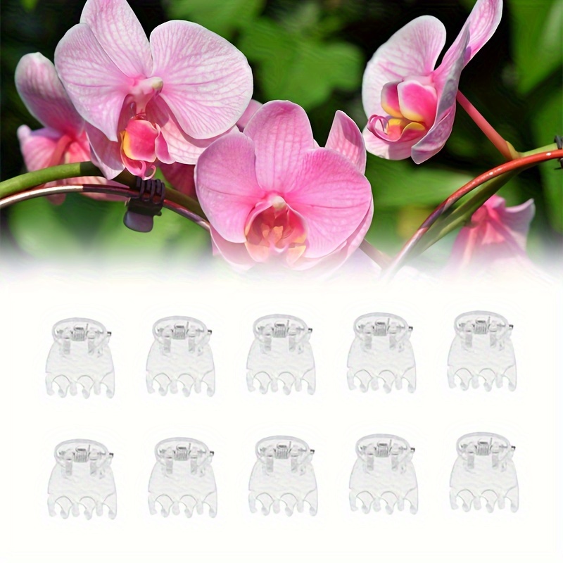 

50 Pcs Orchid Support Clips - Transparent Butterfly-shaped Plastic Plant Trellis For Stem Vine Garden Climbing Flowers Fixer