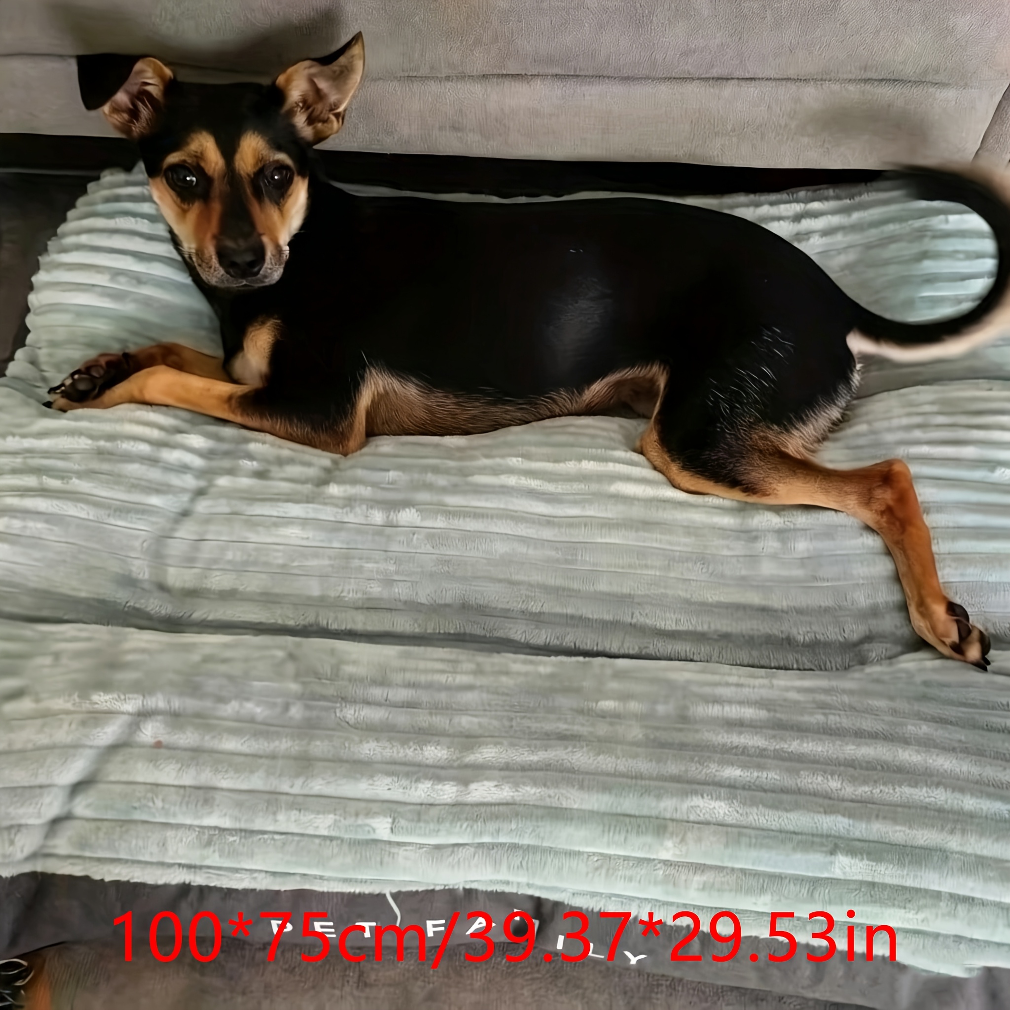 Image of 1 Square Mat Comfortable, Soft, Wear-resistant And Scratch-resistant Dog Bed Cat Nest Suitable For Large, Medium And Small Cats And Dogs Sleep With Dog Mattress