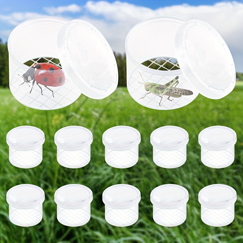 

12pcs Plastic Insect Boxes With , Mesh Insect Containers, Reusable Insect Keeping Cases, For Butterfly, Ladybug, , Cricket, Ant, Bee, Animal Enclosures For Scientific Study And