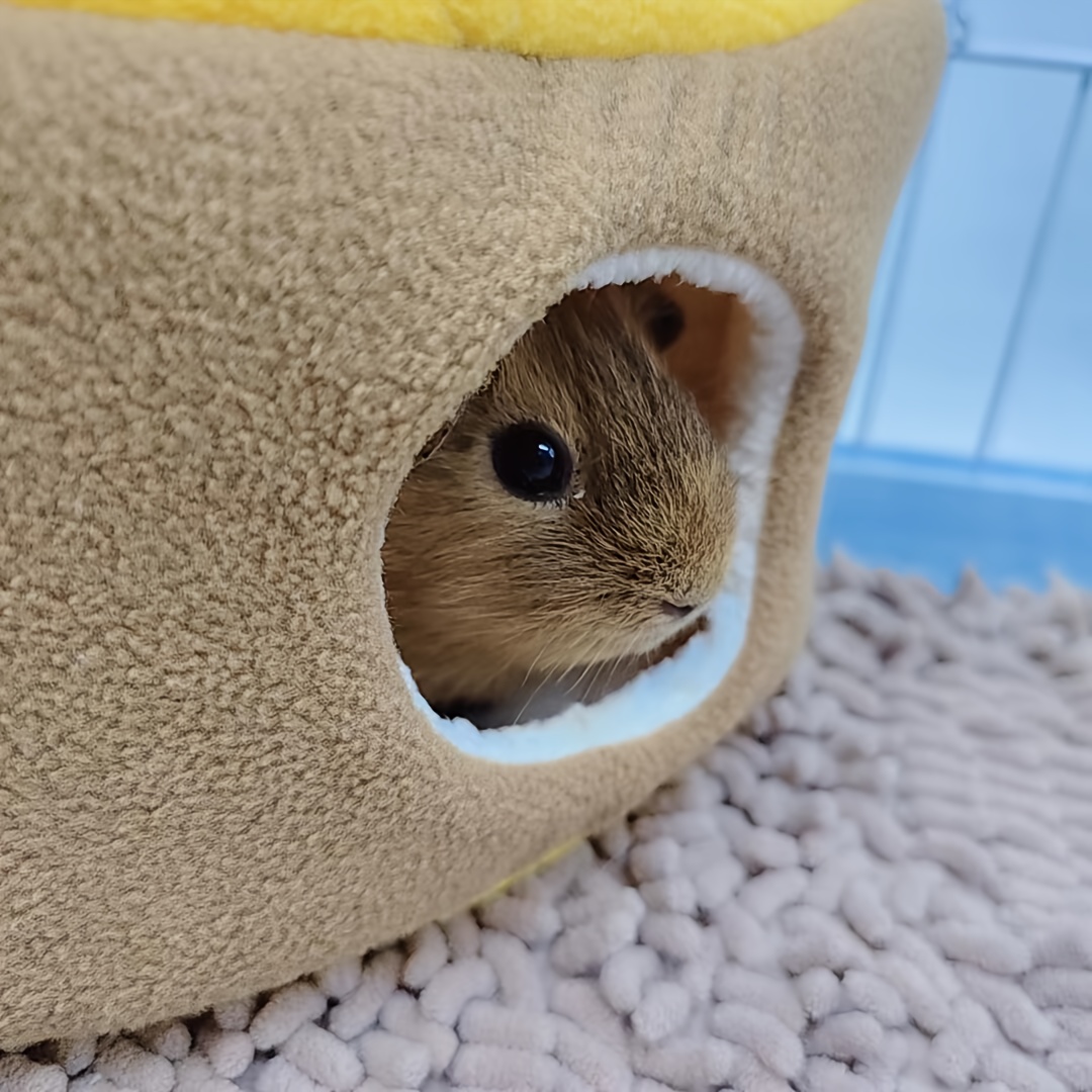 Comfortable Cabin for Candy Flying Squirrels and Hamsters