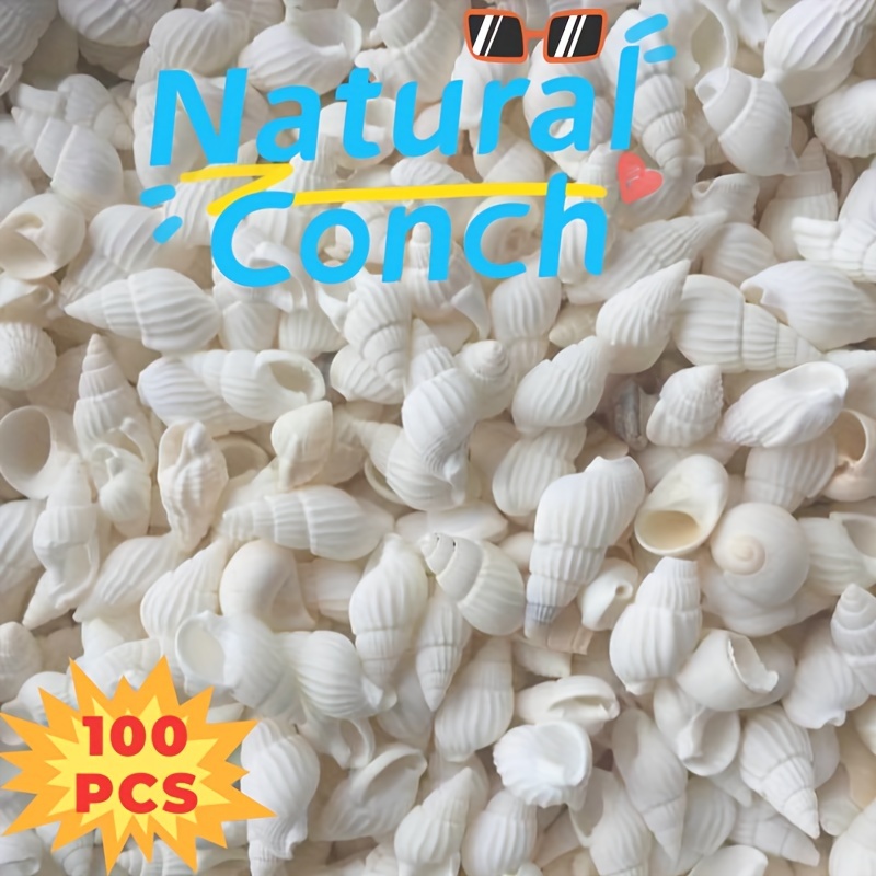 

100 Pcs Natural White Conch Shells, Small Corn Rice Spiral Snails For Home & Aquarium Decor, Ideal For Fish Tank Bottom Decoration, Pure White Craft Gift Set
