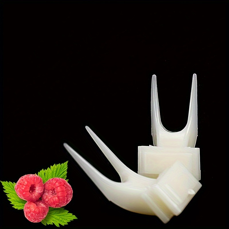 5pcs Bird Cage Fruit Fork Set 5 e79d7ec9 25fa 414b a415 e287f14a3820