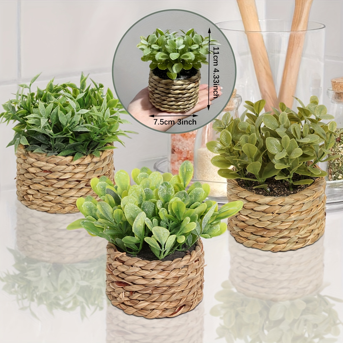 

3pcs Set Of : , Rosemary & Potted Plants For , For , ,