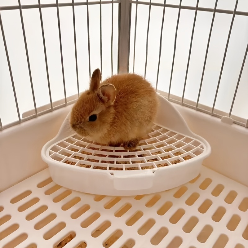 E7ddfe57 4fba 40e4 96fc Faaf542870fc