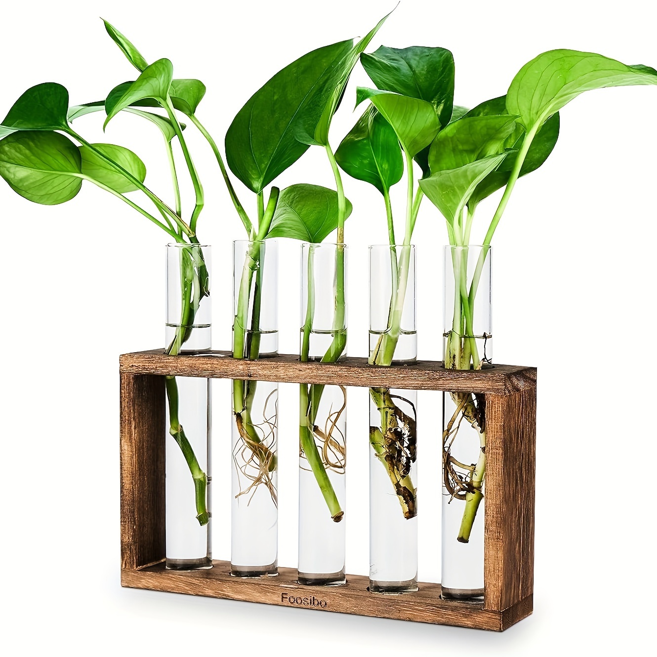 

Plant Glass Container With Wooden Stand, Wall Hanging Glass Vase With 5 Test Tubes, Desktop Glass Container For Hydroponic Plant Cultivation, Unique Gift For Girls