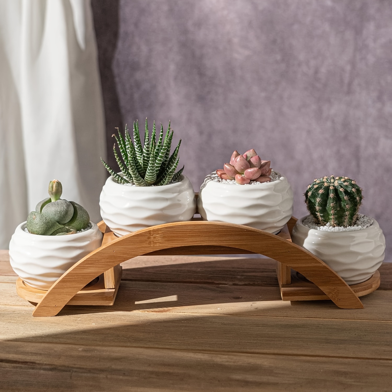 

Succulent Pots And Stand Set, Ceramic White Succulent Planter Pot With Drainage, Pack Of 4, Cute Office Garden Indoor Decoration, Plants Not Included