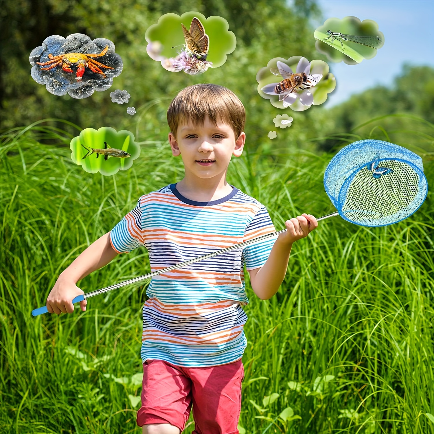 Pack 6 Redes Telescópicas Para Niños – Atrapa Insectos Y Peces – Mango De Goma Antideslizante – Color Aleatorio