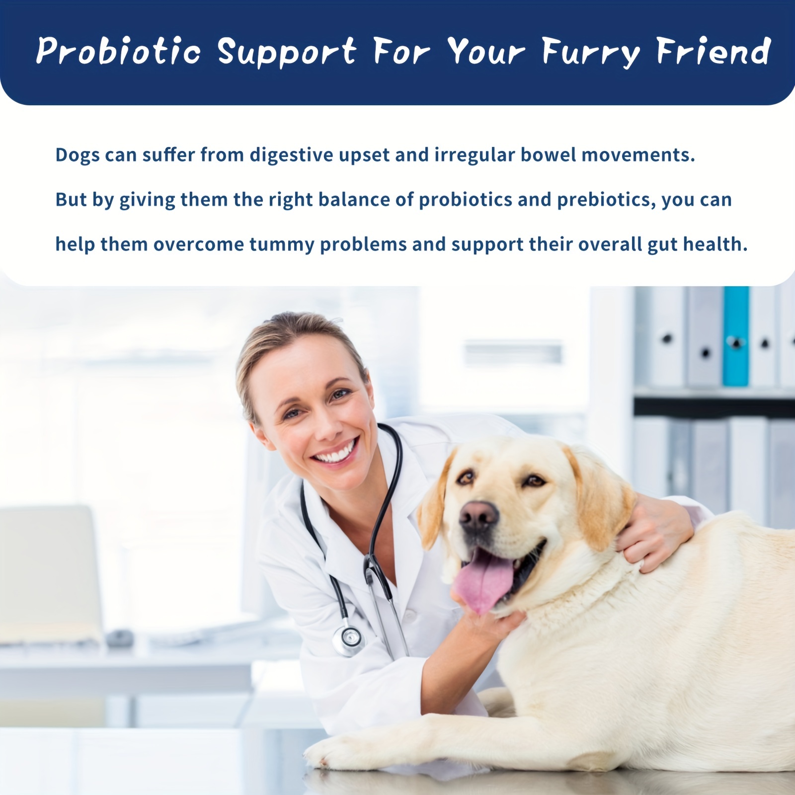 Dog Probiotics Digestive Enzymes Support Temu