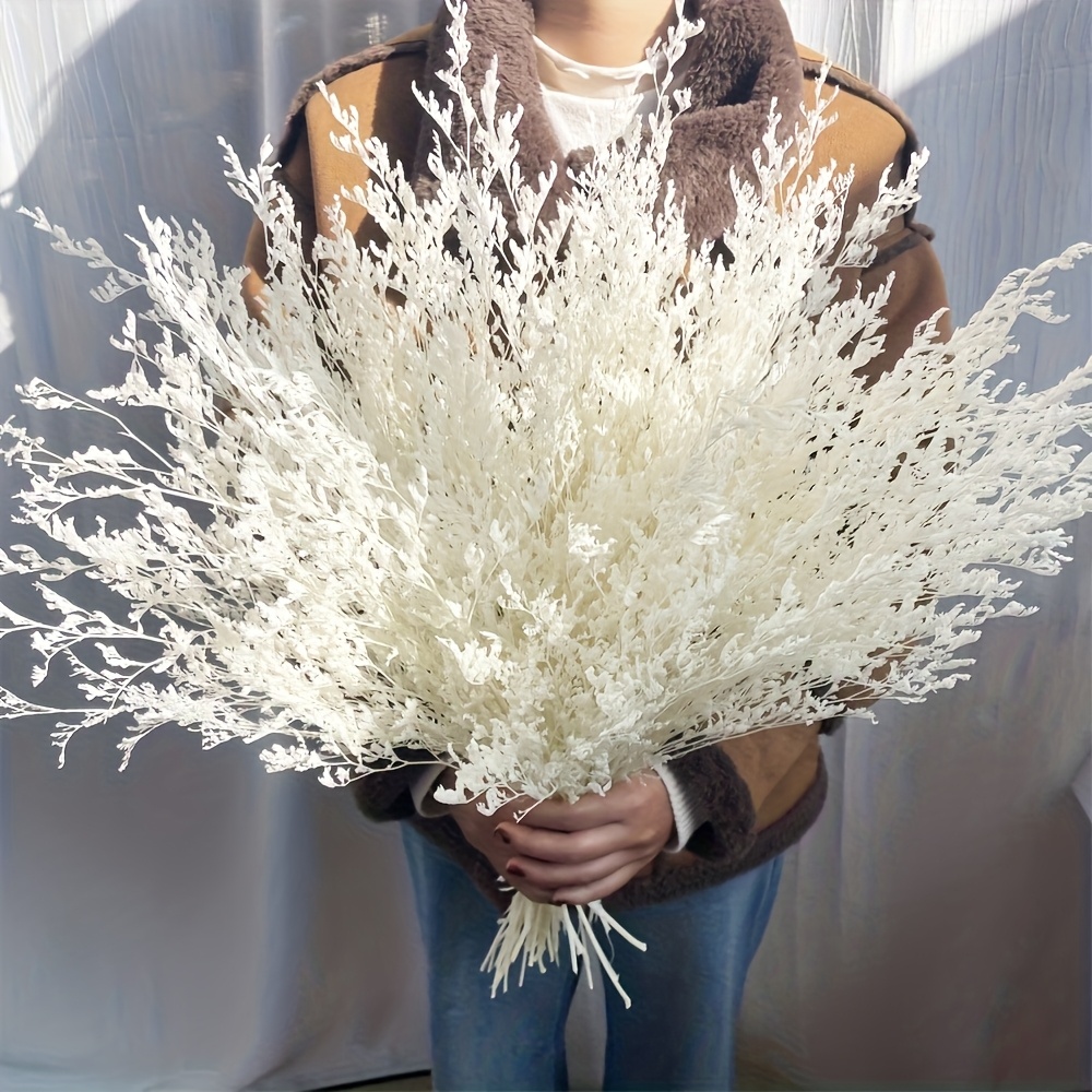 TEMU 30+ Stems White Preserved Bouquet, Bellidifolium, Lavender, Baby Breath Flowers For Wedding Birthday, Home Decor, Gift For Mother, Valentine's Day, Rustic Holiday, Farmhouse Decor