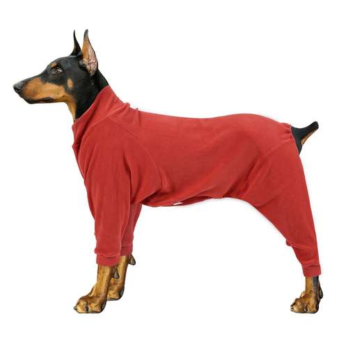 Manteau De Pluie Imperméable Pour Chien OneTigris - Capuche Amovible, Réfléchissant, Taille Réglable (Noir, Taille M)