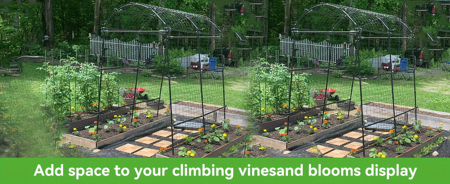 Stainless Steel Climbing Vine Trellis Image 2