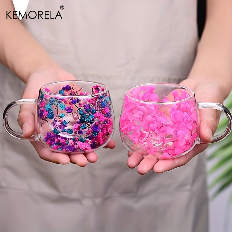 KEMORELA 2PCS 20oz Double Wall Glass Tumblers With