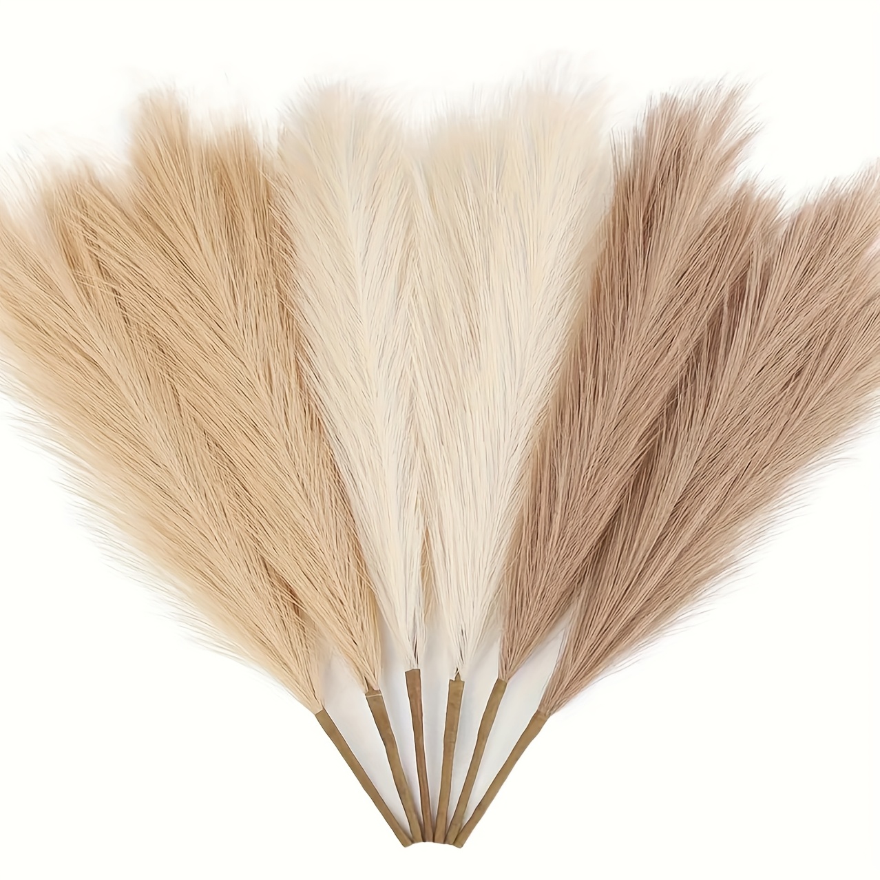 boho pampas grass sold on Temu United States
