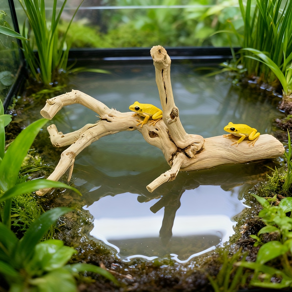 Natural Wood Hideout for Gecko & Bearded Dragon